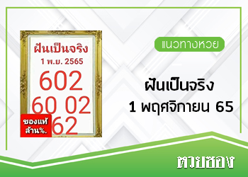 หวยฝันเป็นจริง 1/11/65