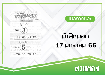 ม้าสีหมอก 17/1/66
