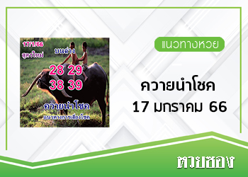 ควายนำโชค 17/1/66