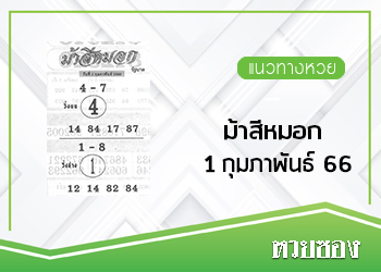 ม้าสีหมอก 1/2/66