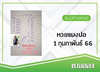 หวยแมงปอ 1/2/66
