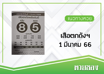 เสือตกถังพลังเงินดี 1/3/66