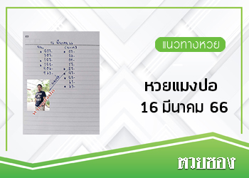 หวยแมงปอ 16/3/66