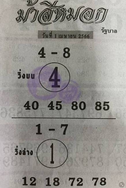 ม้าสีหมอก 16/4/66
