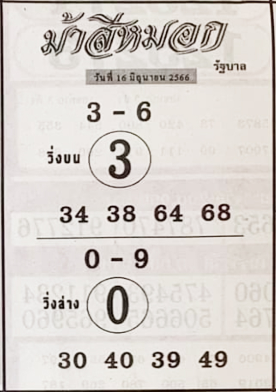 ม้าสีหมอก 16/6/66